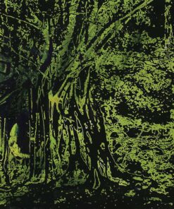 1978<br>pittura industriale, smalto alla anilina, negativo fotografico emulsionato su tela<br>cm 50x60