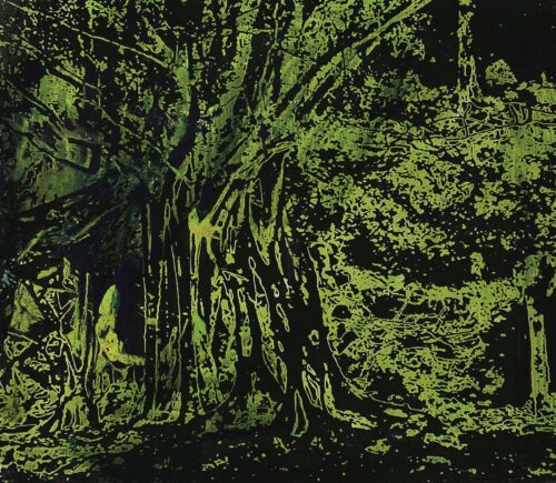 1978<br>pittura industriale, smalto alla anilina, negativo fotografico emulsionato su tela<br>cm 50x60