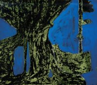 1978<br>pittura industriale, smalto alla anilina, negativo fotografico emulsionato su tela<br>cm 50x60