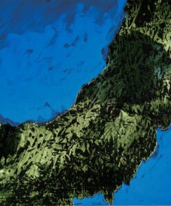 1978<br>pittura industriale, smalto alla anilina, negativo fotografico emulsionato su tela <br>cm 50x60