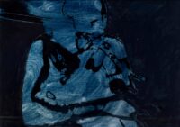 1978<br>Camera oscura<br>pittura industriale, smalto alla anilina, negativo fotografico emulsionato su tela<br>cm 45x50