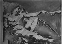 1978<br>pittura industriale, smalto alla anilina, fotografia emulsionata su tela<br>cm 70x100