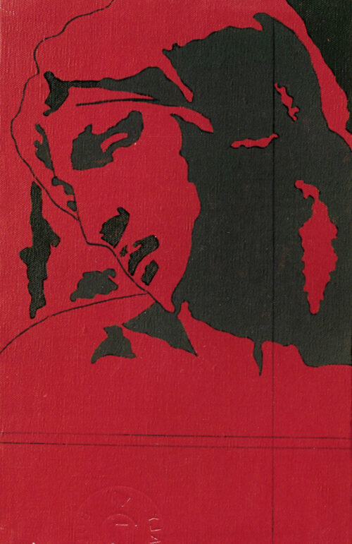 1978<br>tempera, pennarello, proiezione fotografica su tela<br>cm 55x35