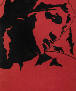 1978<br>tempera, pennarello, proiezione fotografica su tela<br>cm 55x35