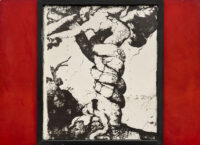 1979<br>collage fotografico, pittura industriale, collage di legno su tavola<br>cm 180x130