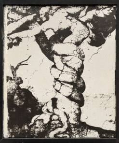 1979<br>collage fotografico, pittura industriale, collage di legno su tavola<br>cm 180x130