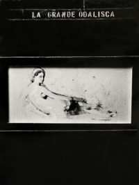 1964<br>La grande Odalisca<br>collage fotografico, smalto industriale su tavola<br>cm 115x90