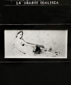 1964<br>La grande Odalisca<br>collage fotografico, smalto industriale su tavola<br>cm 115x90