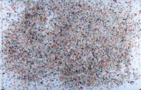 1980<br>Renan Ivan<br>tempera, coriandoli su tela, cellophane<br> cm 60x90