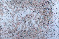 1980<br> Mauricio Il Pelao (Il Pelado)<br>tempera, coriandoli su tela, cellophane<br> cm 60x90