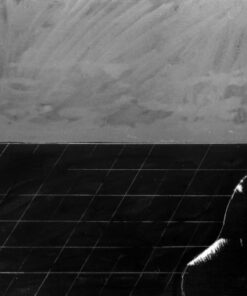 1980<br>Dal Settimo Sigillo di I. Bergman<br>tempera, matita, collage fotografico su tela<br>cm 55x90