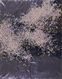 1982<br> pittura industriale, coriandoli su tela, cellophane <br>cm 80x100