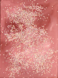 1983<br>pittura industriale, coriandoli su tela, cellophane<br>cm 80x60