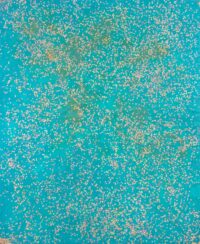 1984<br>pittura industriale, colore a spruzzo, coriandoli su tela, cellophane<br> cm 160x130