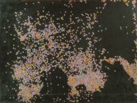 1984 21 novembre, Roma<br> Le colonne d'Ercole<br>pittura industriale, coriandoli su tela, cellophane<br> cm 60x80