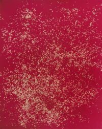 1984<br>pittura industriale, coriandoli su tela e cellophane <br>cm 160x130