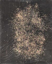 1984<br>pittura industriale, coriandoli su tela, cellophane<br> cm 160x130