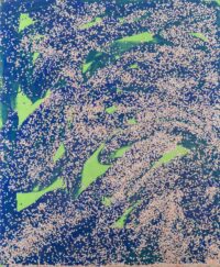 1985<br>pittura industriale, tempera, coriandoli su tela, cellophane<br>cm 160x130