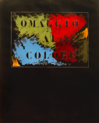 1986<br>Omaggio al colore<br>pittura industriale, tempera, matita su tela<br>cm 160x130