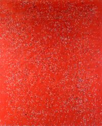 1986<br>pittura industriale, coriandoli su tela, cellophane<br> cm 160x130