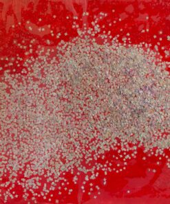 1986 9, 11<br> Variazione dalla Olimpia di.....<br>tempera, coriandoli su tela, cellophane<br> cm 70x100