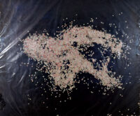 1986<br>Dai quattro fiumi di Ungaretti, Il Tevere<br>pittura industriale, coriandoli su tela, cellophane<br>cm 100x120