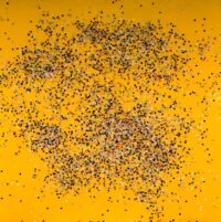 1986<br>pittura industriale, coriandoli su tela, cellophane<br>cm 100x100