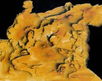 1987<br> pittura industriale, smalto alla anilina, fotografia emulsionata su tela<br>cm 80x100