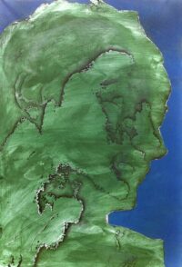 1987<br> pittura industriale, smalto alla anilina, fotografia emulsionata su tela<br>cm 100x70