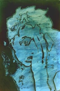 1987<br> pittura industriale, smalto alla anilina, fotografia emulsionata su tela<br>cm 100x70