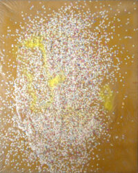 1987<br> pittura industriale, colore a spruzzo, coriandoli su tela e cellophane <br> cm 100x80