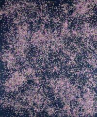 1987<br>tempera, coriandoli su tela e cellophane<br>cm 160x130