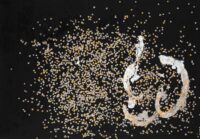 1984<br>The day of the birth<br>pittura industriale, coriandoli su tela e cellophane<br> cm 70x100