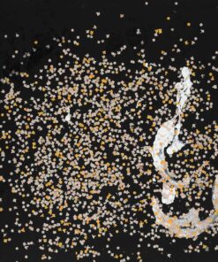 1984<br>The day of the birth<br>pittura industriale, coriandoli su tela e cellophane<br> cm 70x100